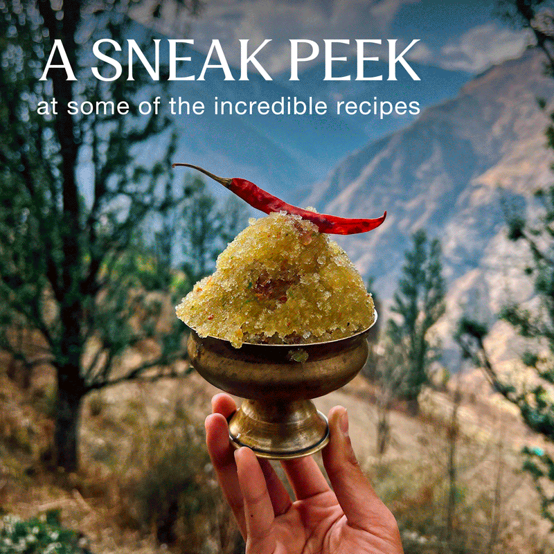 The Cookbook +  Spice 6-pack Bundle