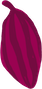 Anamalai Cacao