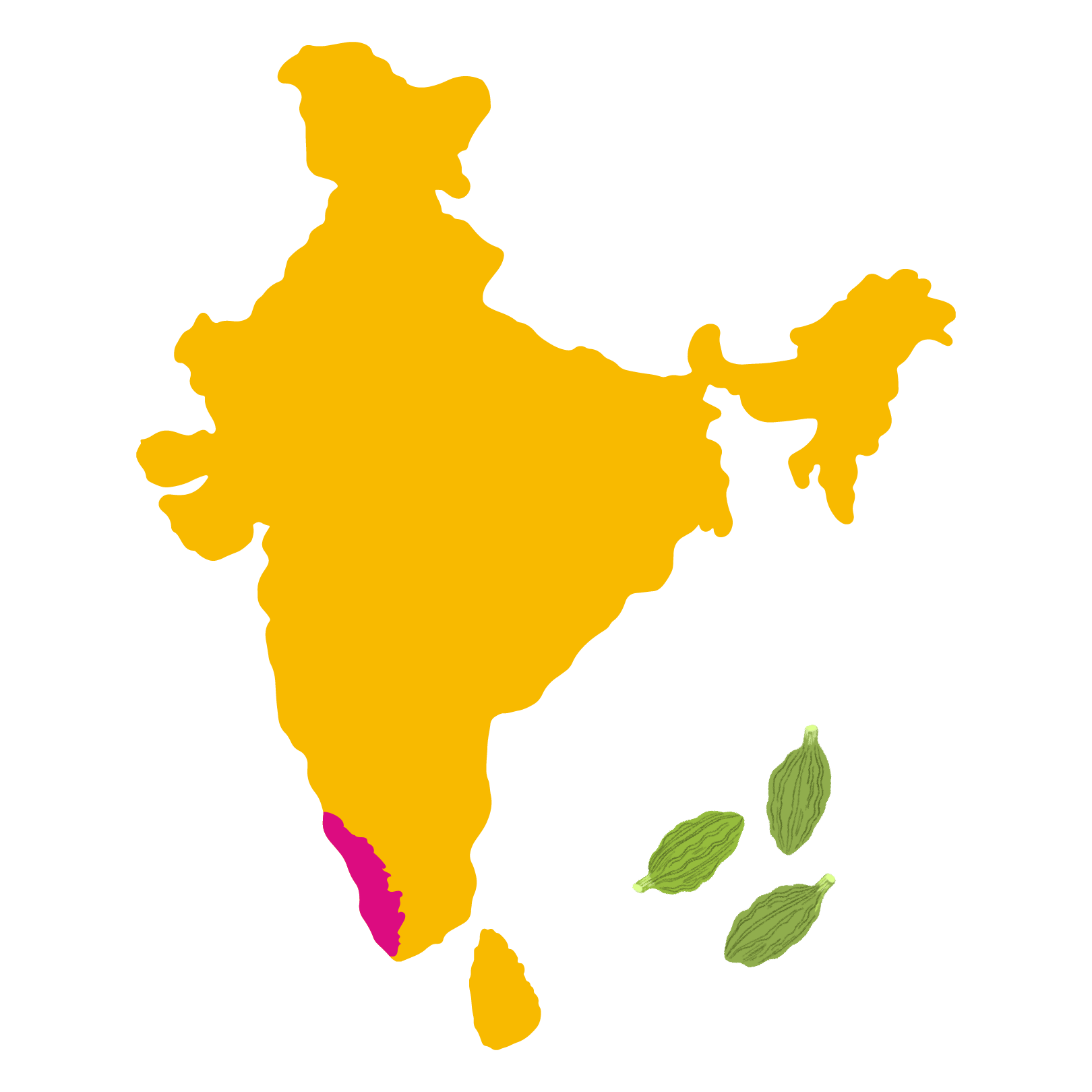 Grown in <br> Udumbanchola, Kerala