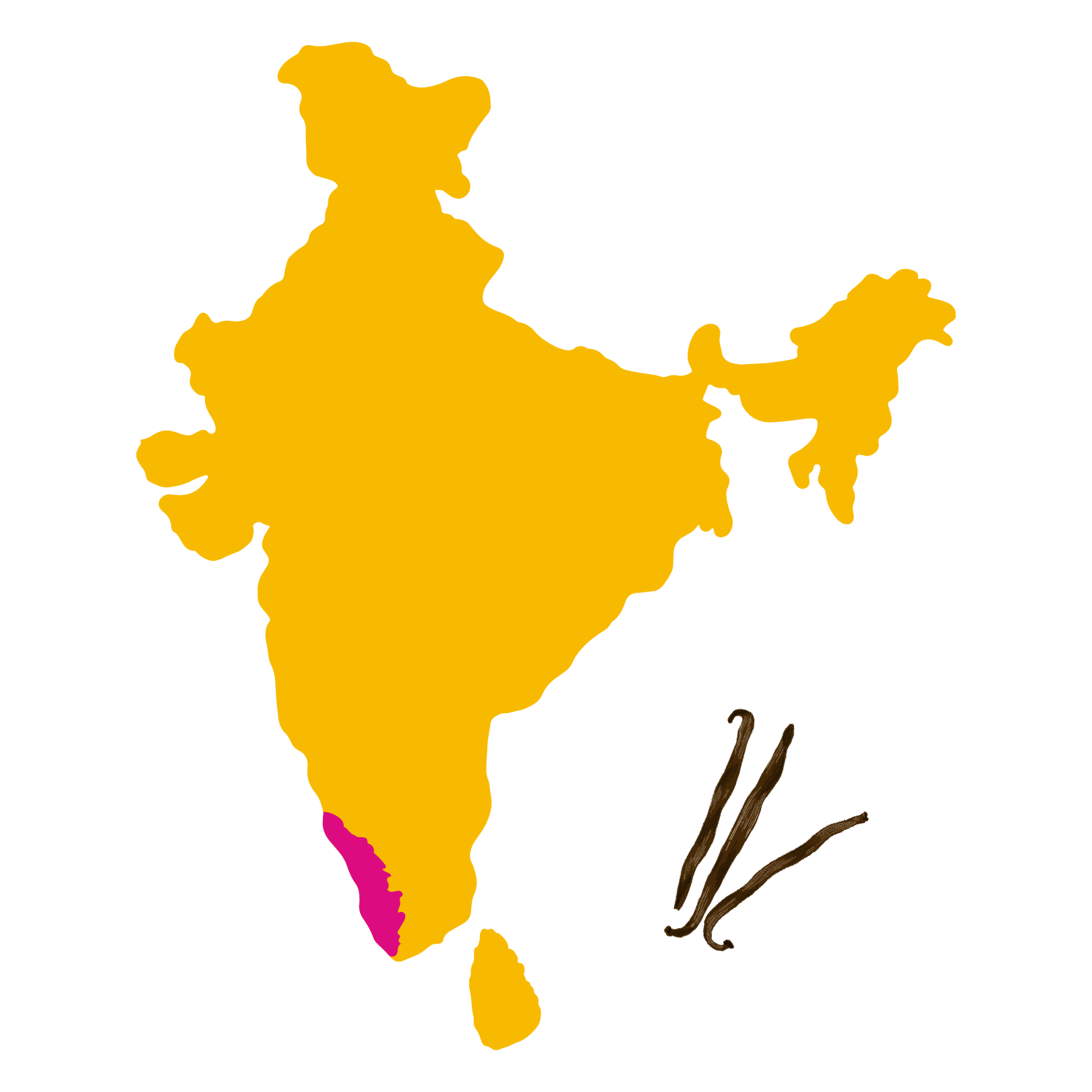 Grown in <br> Kumily, Kerala