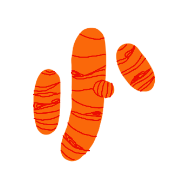 Pragati Turmeric