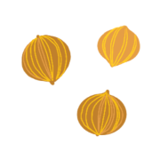 Nandini Coriander