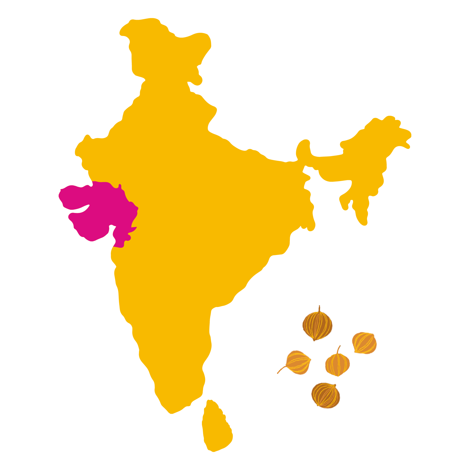 Grown in <br> Shedubhar, Gujarat