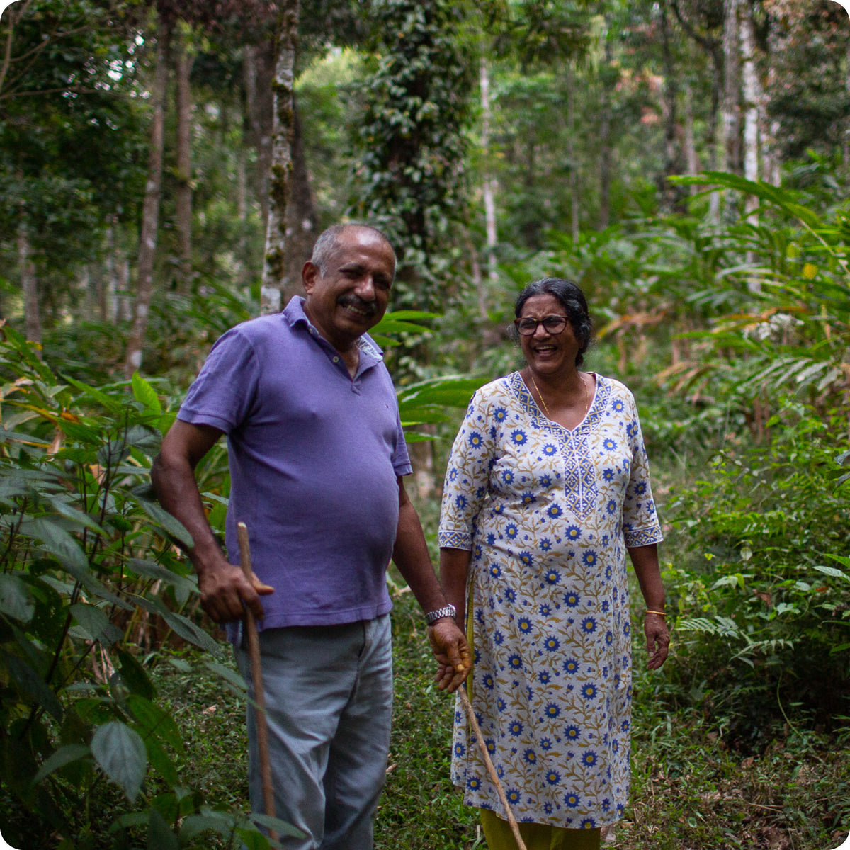 Baraka Cardamom farm partners in the middle of the canopy on their estate.