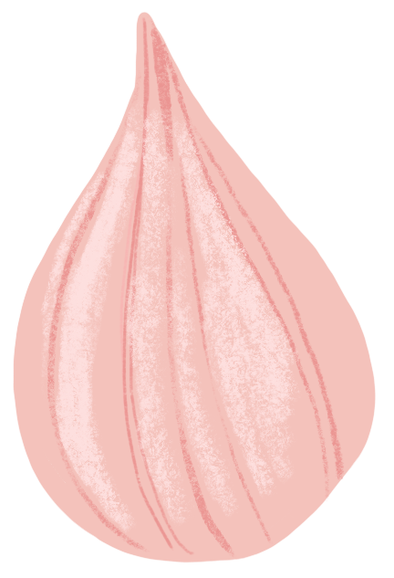 Pahadi Pink Garlic