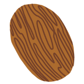 Anamalai Nutmeg